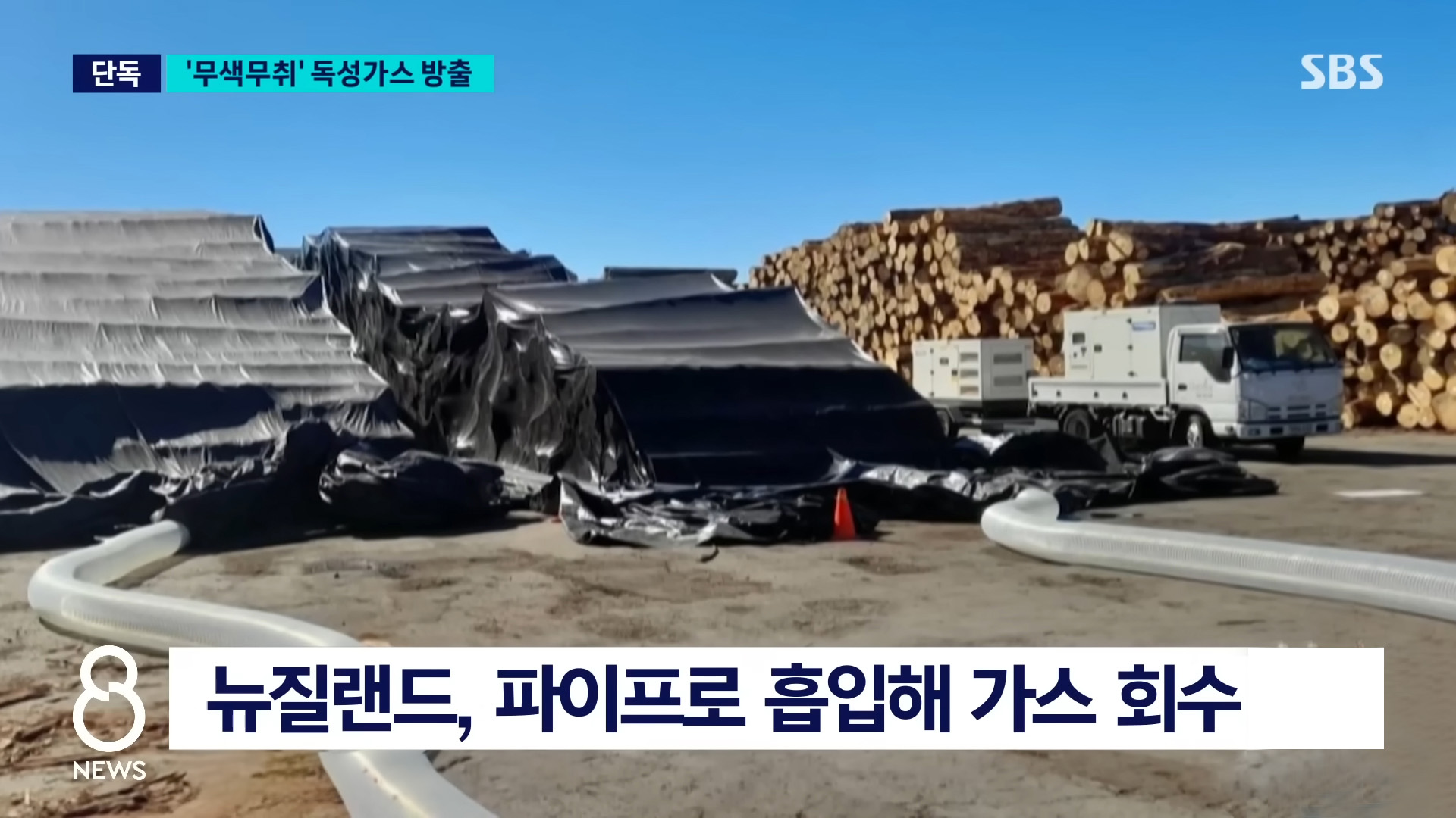 장세만기자